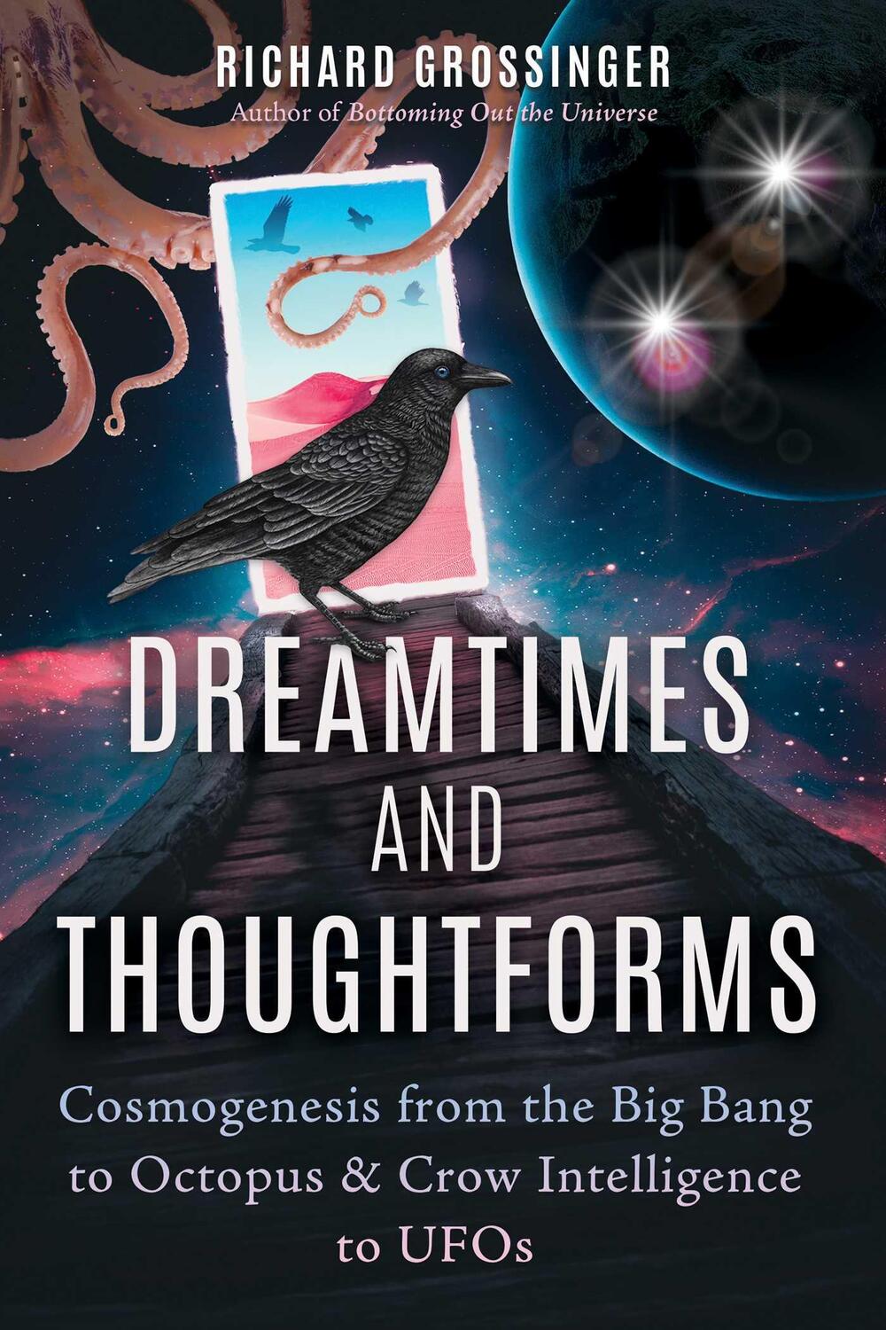 Cover: 9781644115640 | Dreamtimes and Thoughtforms | Richard Grossinger | Taschenbuch | 2022