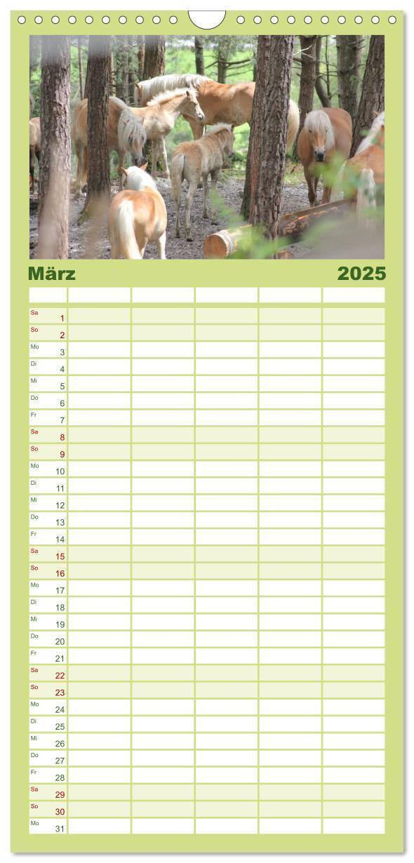 Bild: 9783457107294 | Familienplaner 2025 - Alpenpferde mit 5 Spalten (Wandkalender, 21 x...