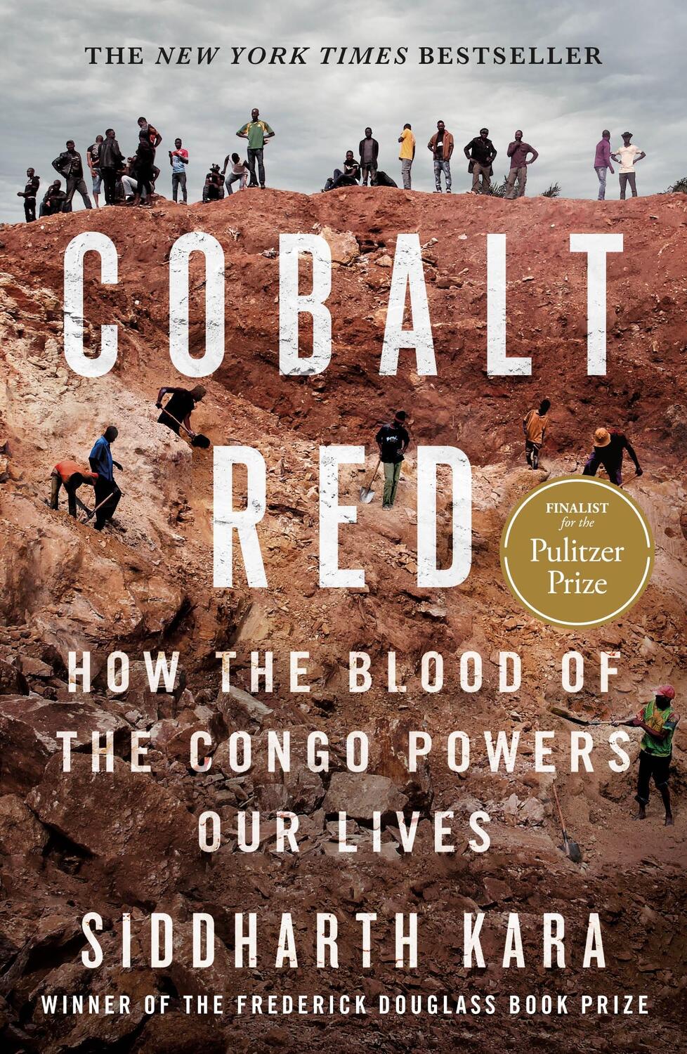 Cover: 9781250284303 | Cobalt Red | How the Blood of the Congo Powers Our Lives | Kara | Buch