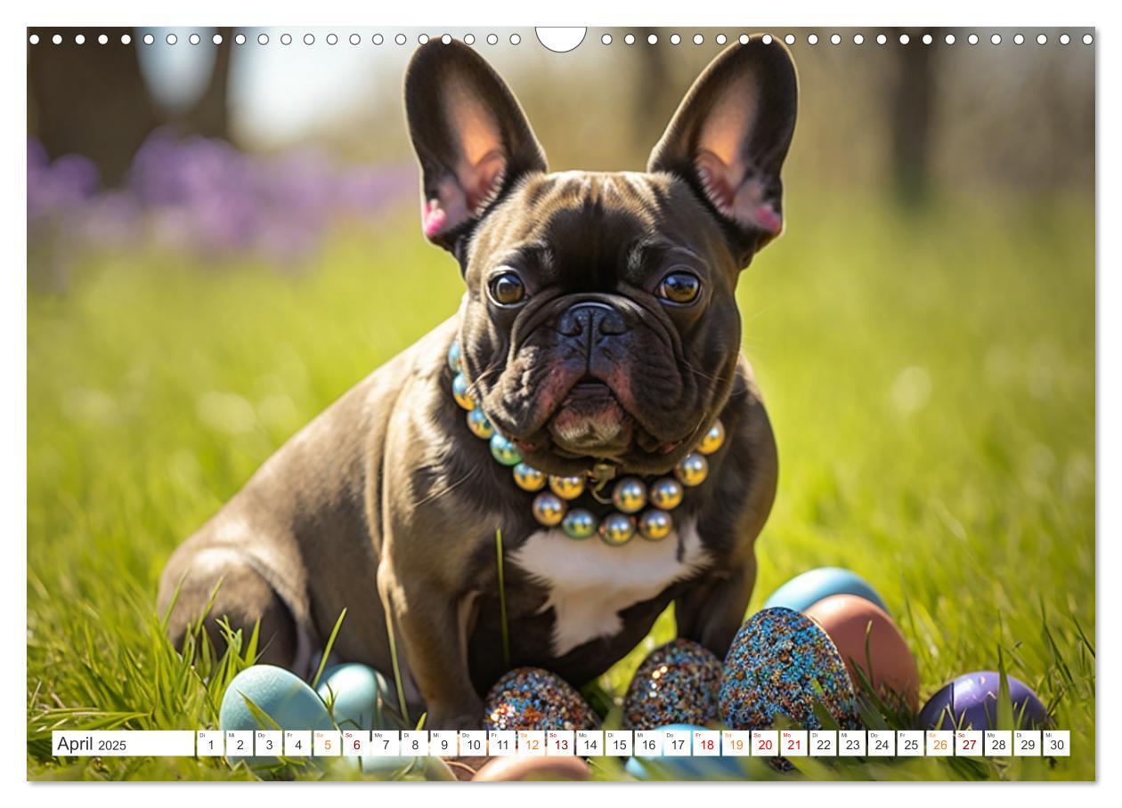 Bild: 9783383908293 | Französische Bulldoggen (Wandkalender 2025 DIN A3 quer), CALVENDO...