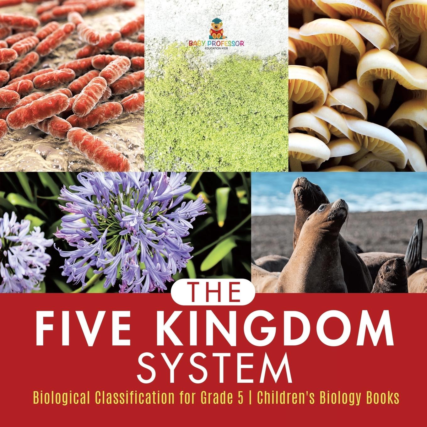 Cover: 9781541953864 | The Five Kingdom System Biological Classification for Grade 5...