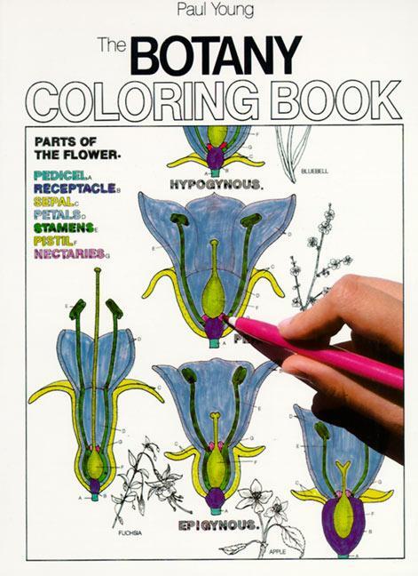 Cover: 9780064603027 | Botany Coloring Book | Paul Young | Taschenbuch | Coloring Concepts