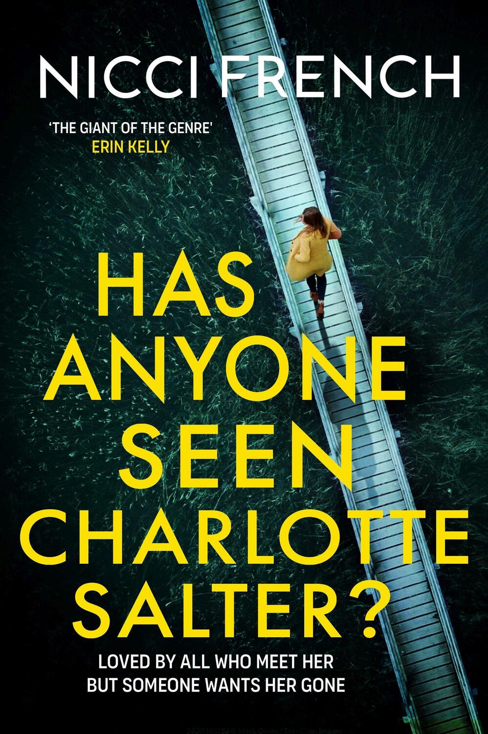 Cover: 9781398524095 | Has Anyone Seen Charlotte Salter? | Nicci French | Taschenbuch | 2024