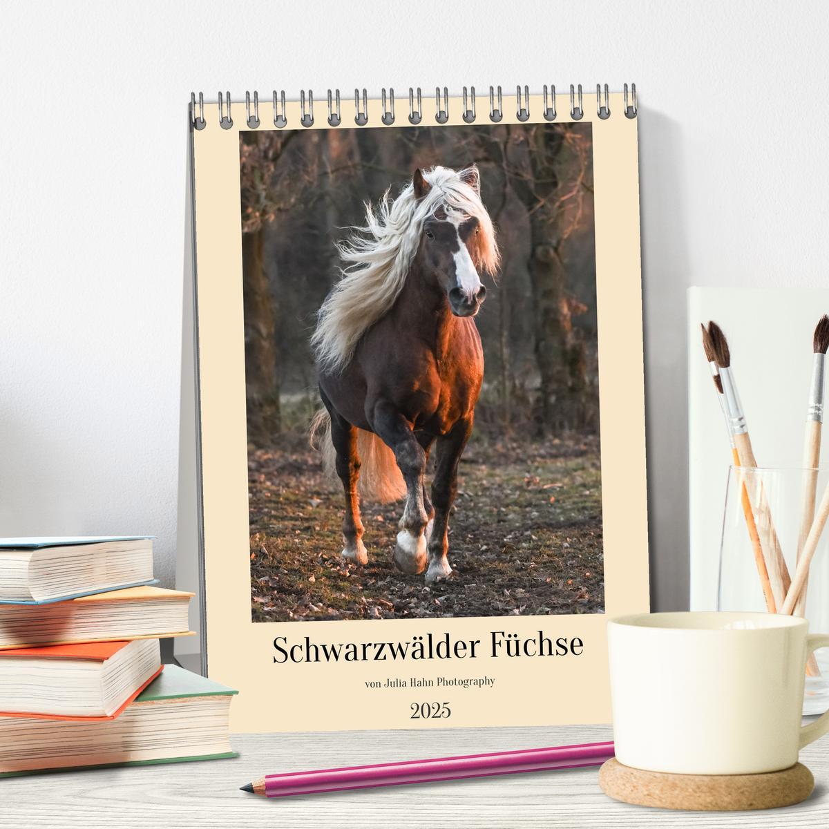 Bild: 9783435856114 | Schwarzwälder Füchse von Julia Hahn Photography (Tischkalender 2025...