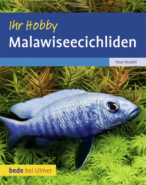 Cover: 9783800167531 | Malawiseecichliden | Peter Bredell | Buch | bede bei Ulmer | 80 S.