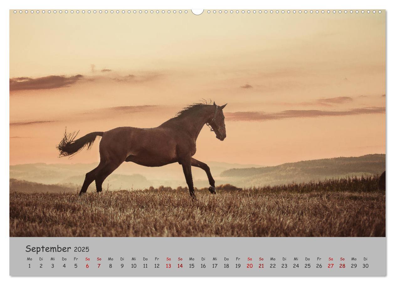 Bild: 9783435336357 | Spiegel deiner Seele (hochwertiger Premium Wandkalender 2025 DIN A2...