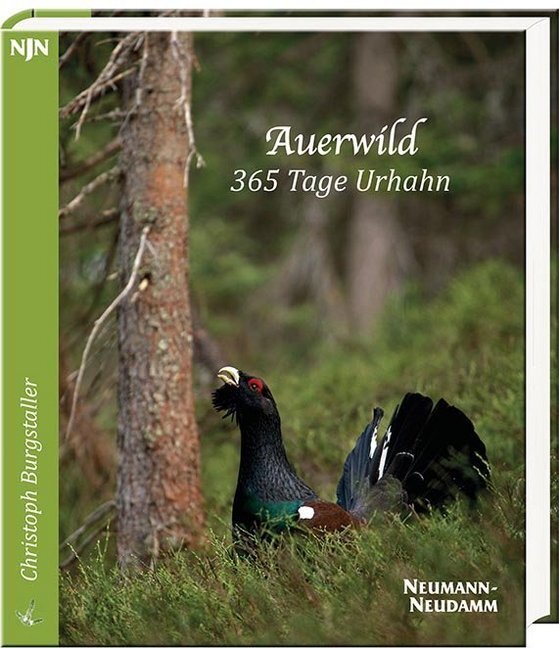Cover: 9783788816391 | Auerwild - 365 Tage Urhahn | Christoph Burgstaller | Taschenbuch