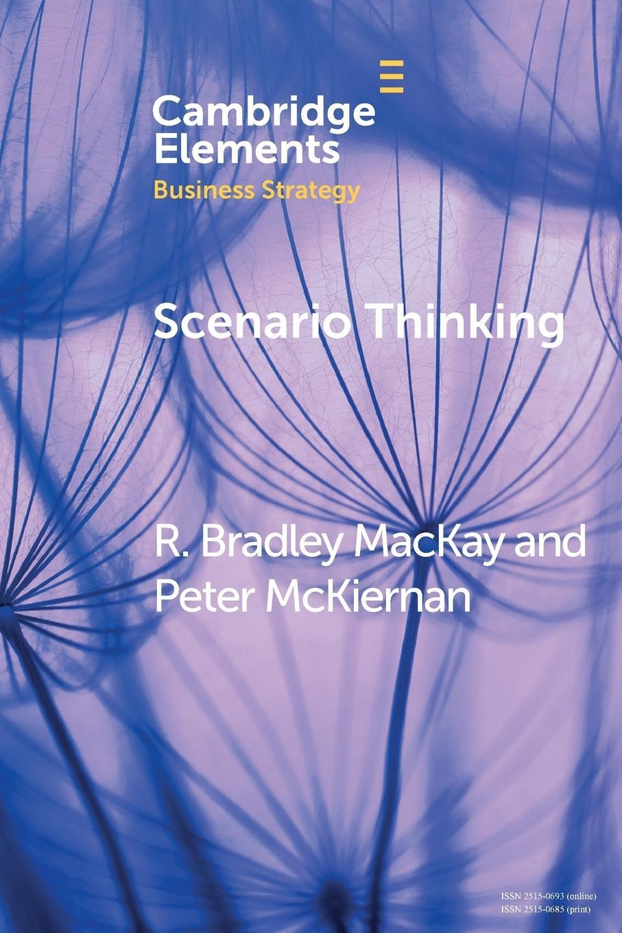 Cover: 9781108469005 | Scenario Thinking | R. Bradley MacKay (u. a.) | Taschenbuch | Englisch
