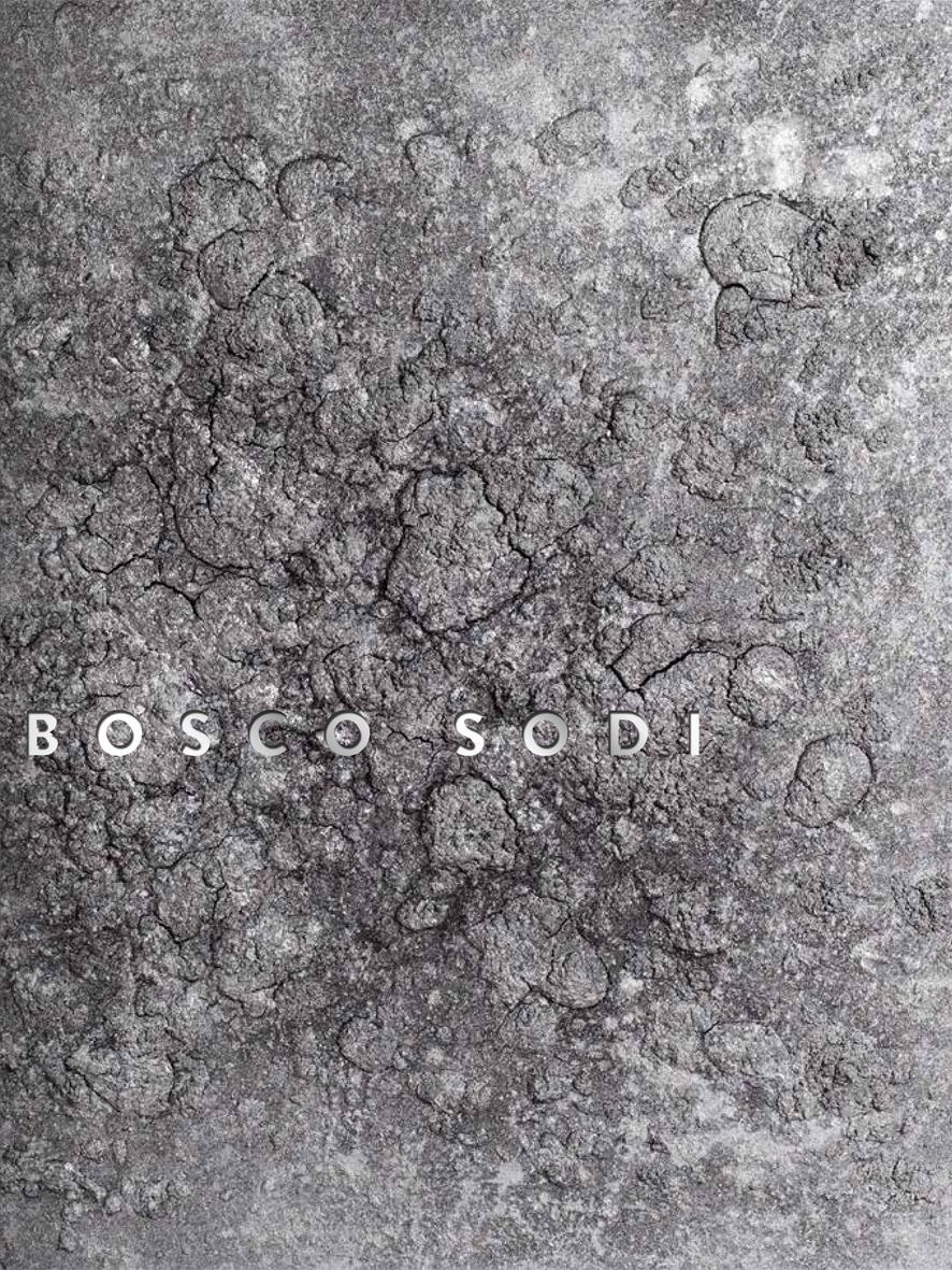 Cover: 9783862281114 | Bosco Sodi | Bosco Sodi | Buch | 208 S. | Deutsch | 2014