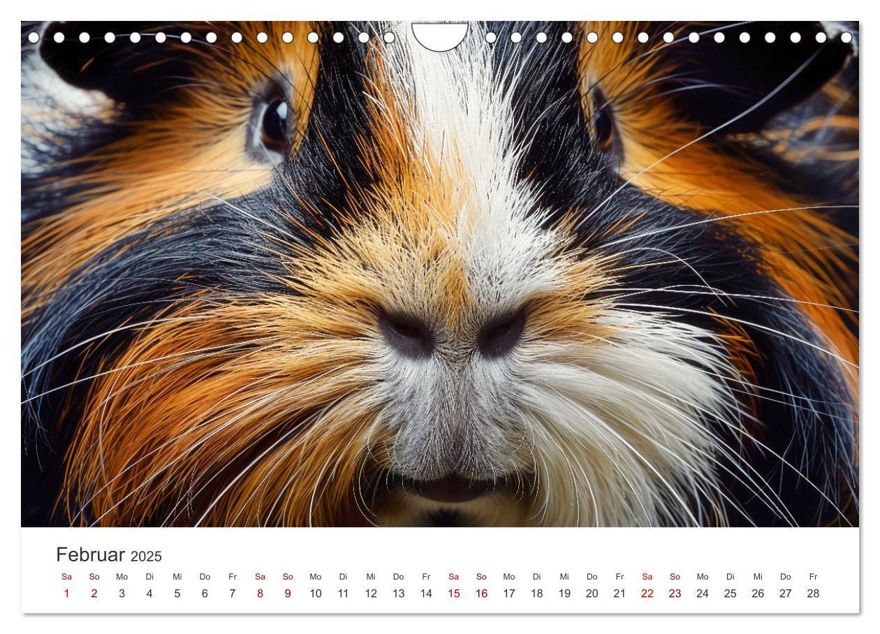 Bild: 9783383812255 | Wuschelbande - Ein Jahr voller Meerschweinchen (Wandkalender 2025...