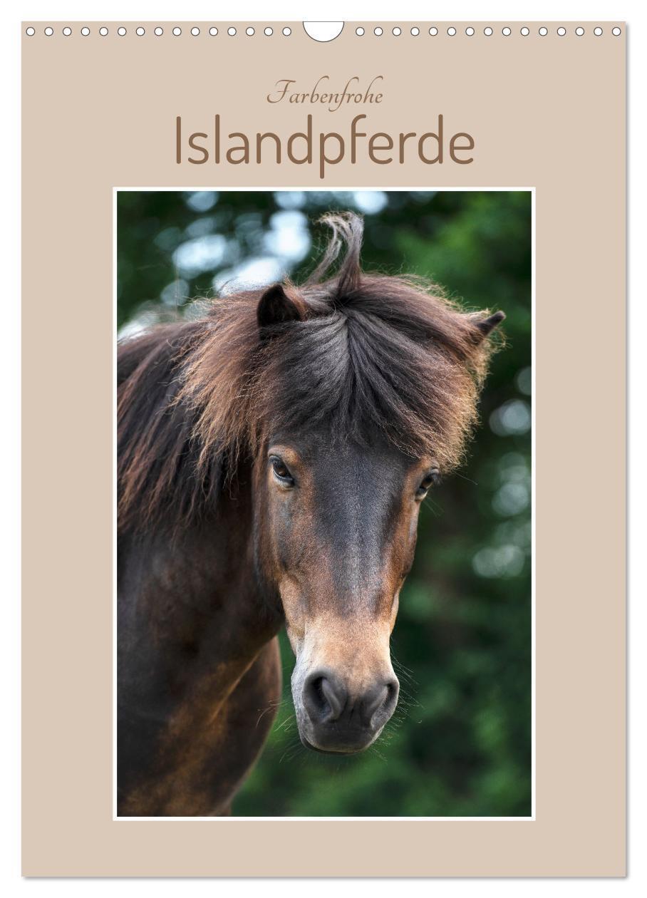 Cover: 9783675591783 | Farbenfrohe Islandpferde (Wandkalender 2024 DIN A3 hoch), CALVENDO...