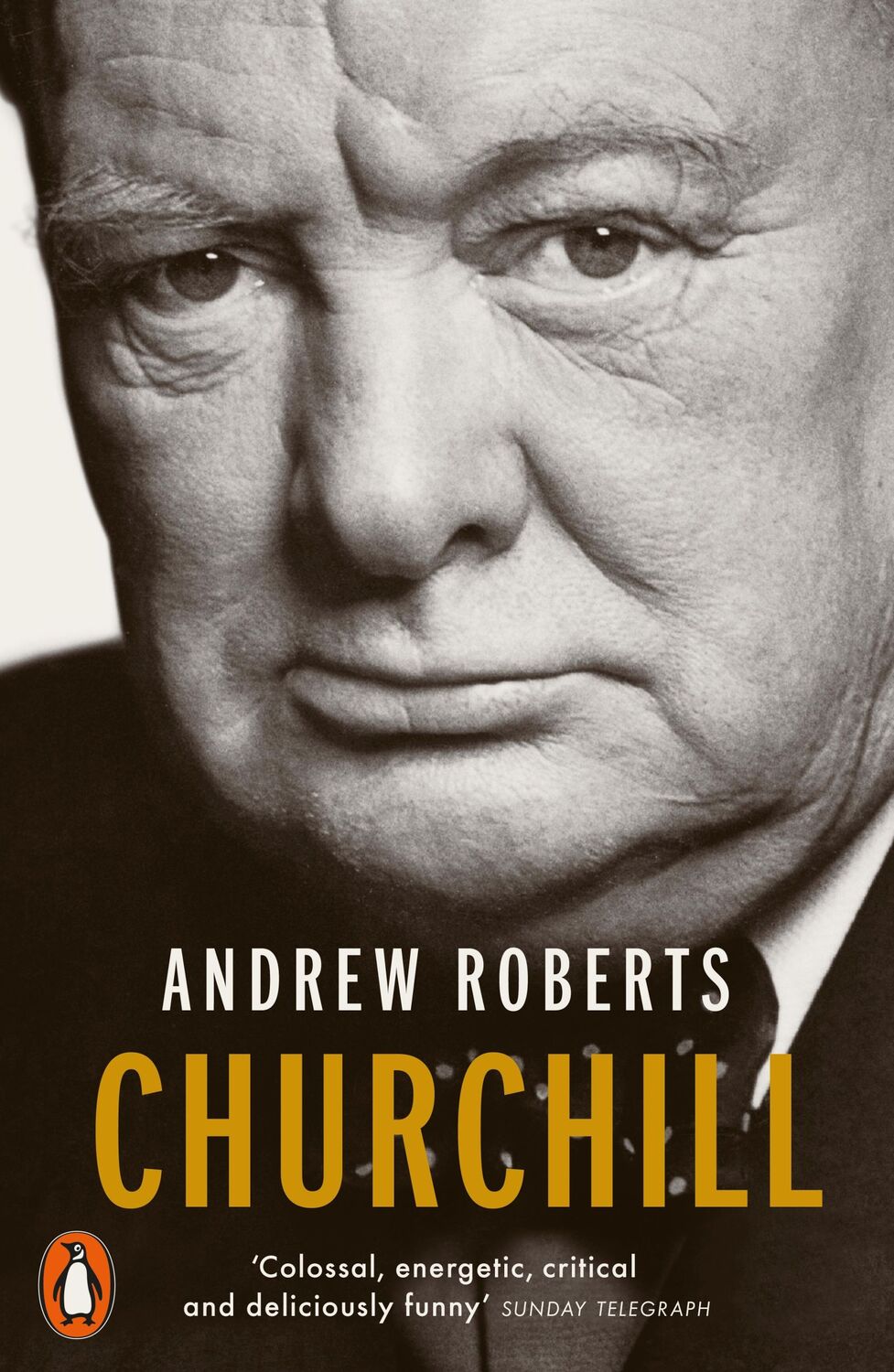 Cover: 9780141981253 | Churchill | Walking with Destiny | Andrew Roberts | Taschenbuch | XLVI