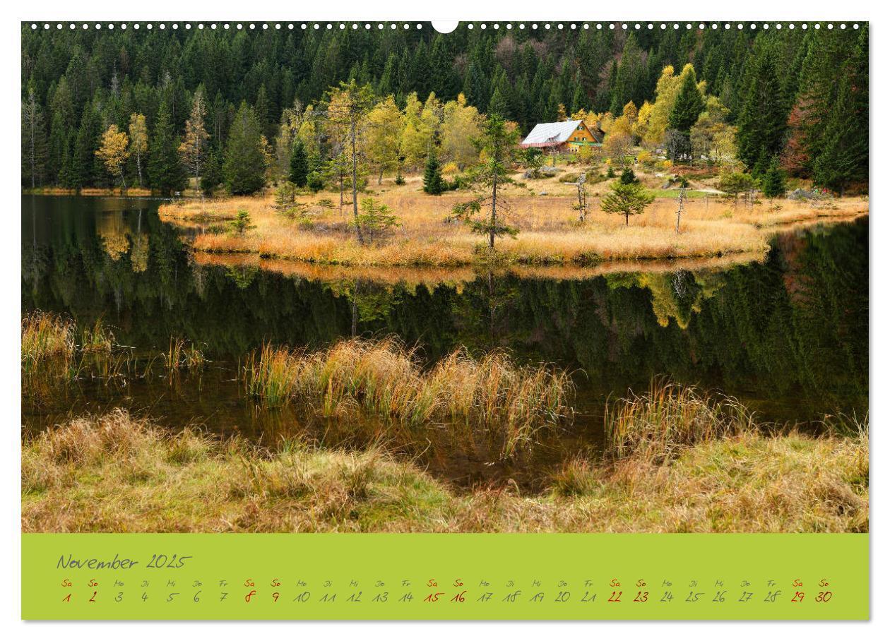 Bild: 9783435193530 | Der Bayerische Wald (Wandkalender 2025 DIN A2 quer), CALVENDO...