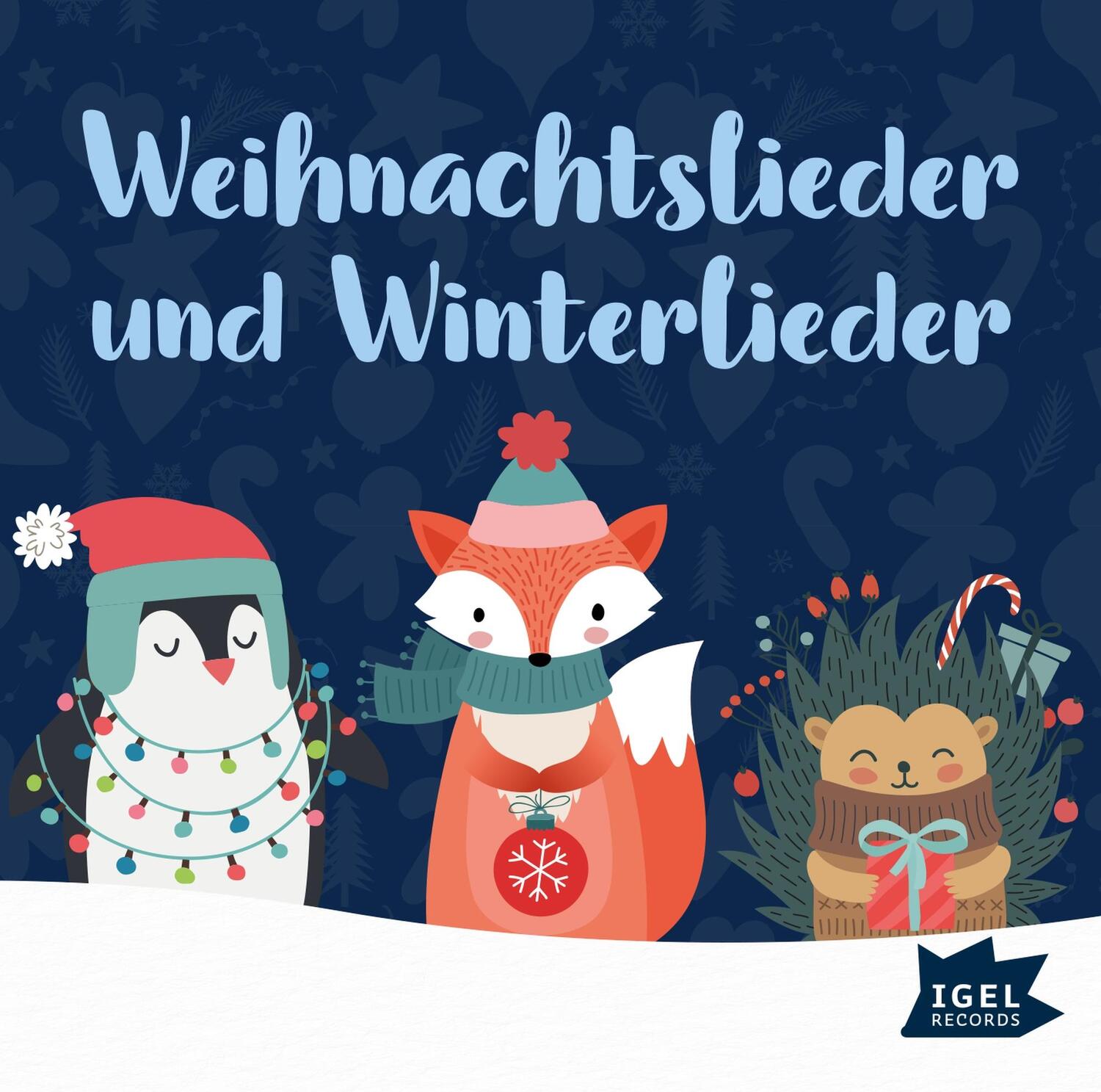 Cover: 4065713000040 | Weihnachtslieder und Winterlieder | Kay Poppe (u. a.) | Audio-CD