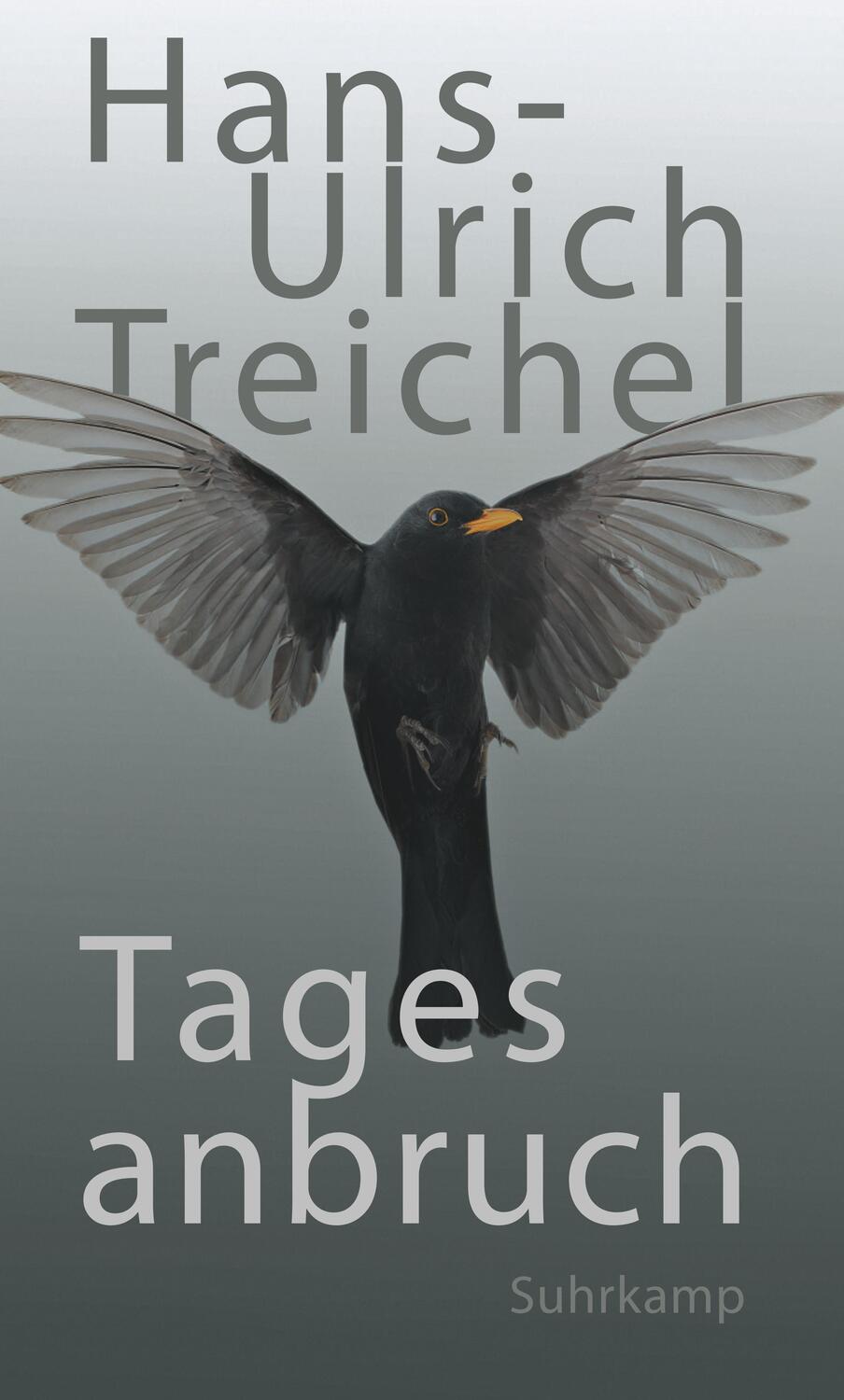 Cover: 9783518425251 | Tagesanbruch | Hans-Ulrich Treichel | Buch | Deutsch | 2016