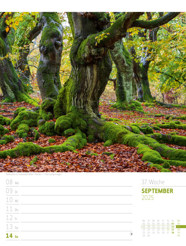 Bild: 9783838435275 | Abenteuer Deutschland - Naturparadiese Wochenplaner Kalender 2025