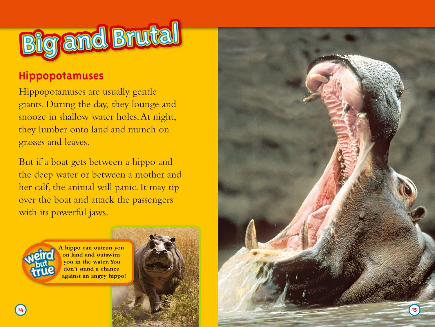 Bild: 9780008266806 | Deadliest Animals | Level 4 | Melissa Stewart (u. a.) | Taschenbuch