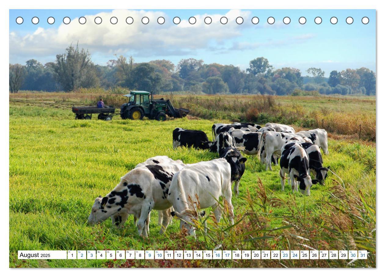 Bild: 9783435369904 | Land Brandenburg - Natur und Erholung im märkischen Land...