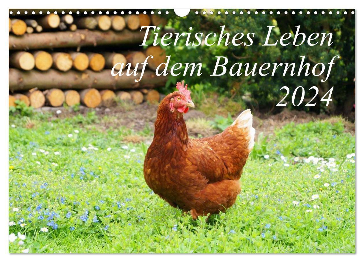 Cover: 9783675577466 | Tierisches Leben auf dem Bauernhof 2024 (Wandkalender 2024 DIN A3...