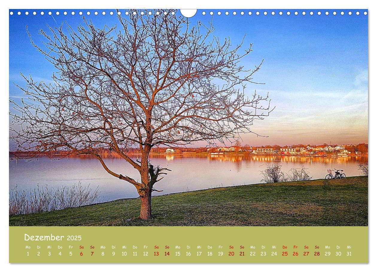 Bild: 9783383877865 | Mein Cospudener See (Wandkalender 2025 DIN A3 quer), CALVENDO...