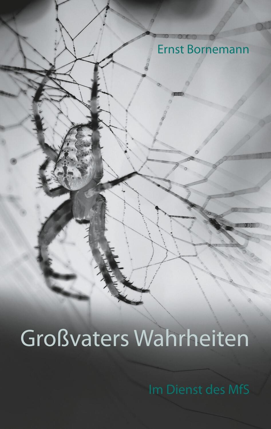 Cover: 9783732284184 | Großvaters Wahrheiten | Im Dienst des MfS | Ernst Bornemann | Buch