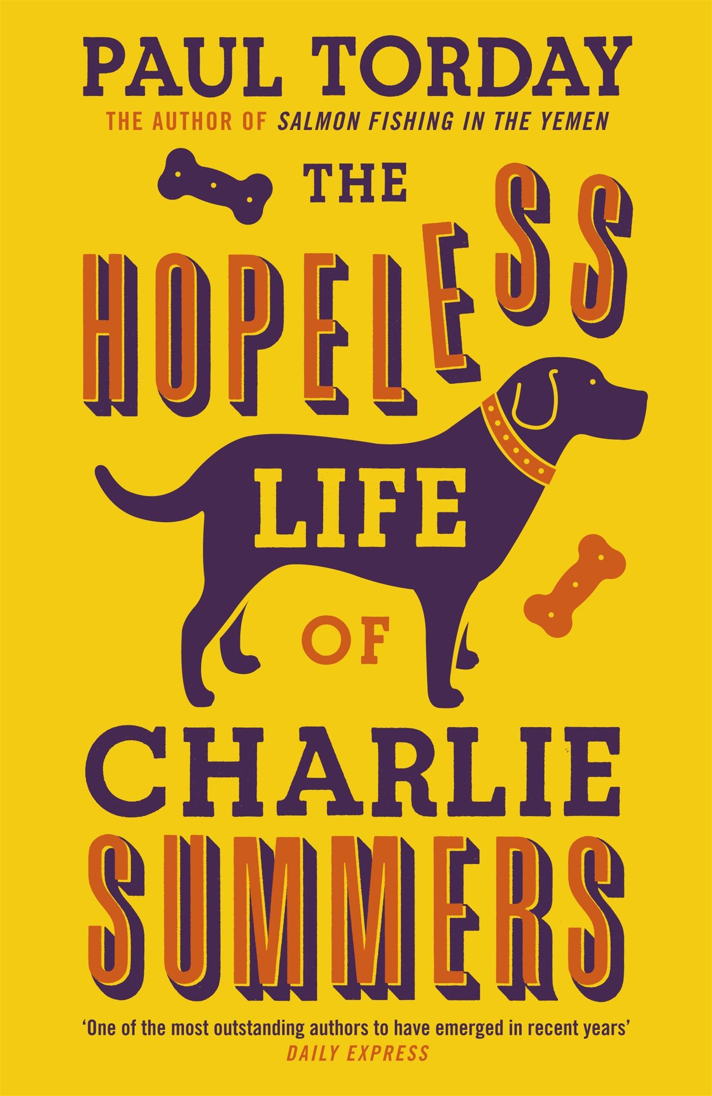 Cover: 9780753823415 | The Hopeless Life Of Charlie Summers | Paul Torday | Taschenbuch