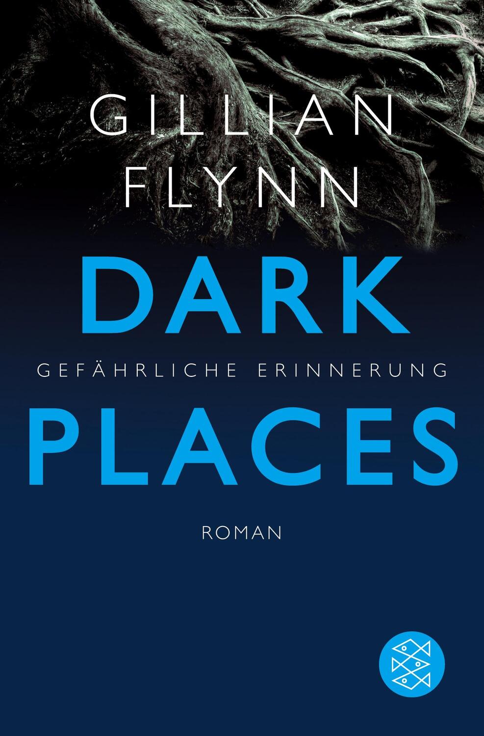 Cover: 9783596173983 | Dark Places - Gefährliche Erinnerung | Thriller | Gillian Flynn | Buch