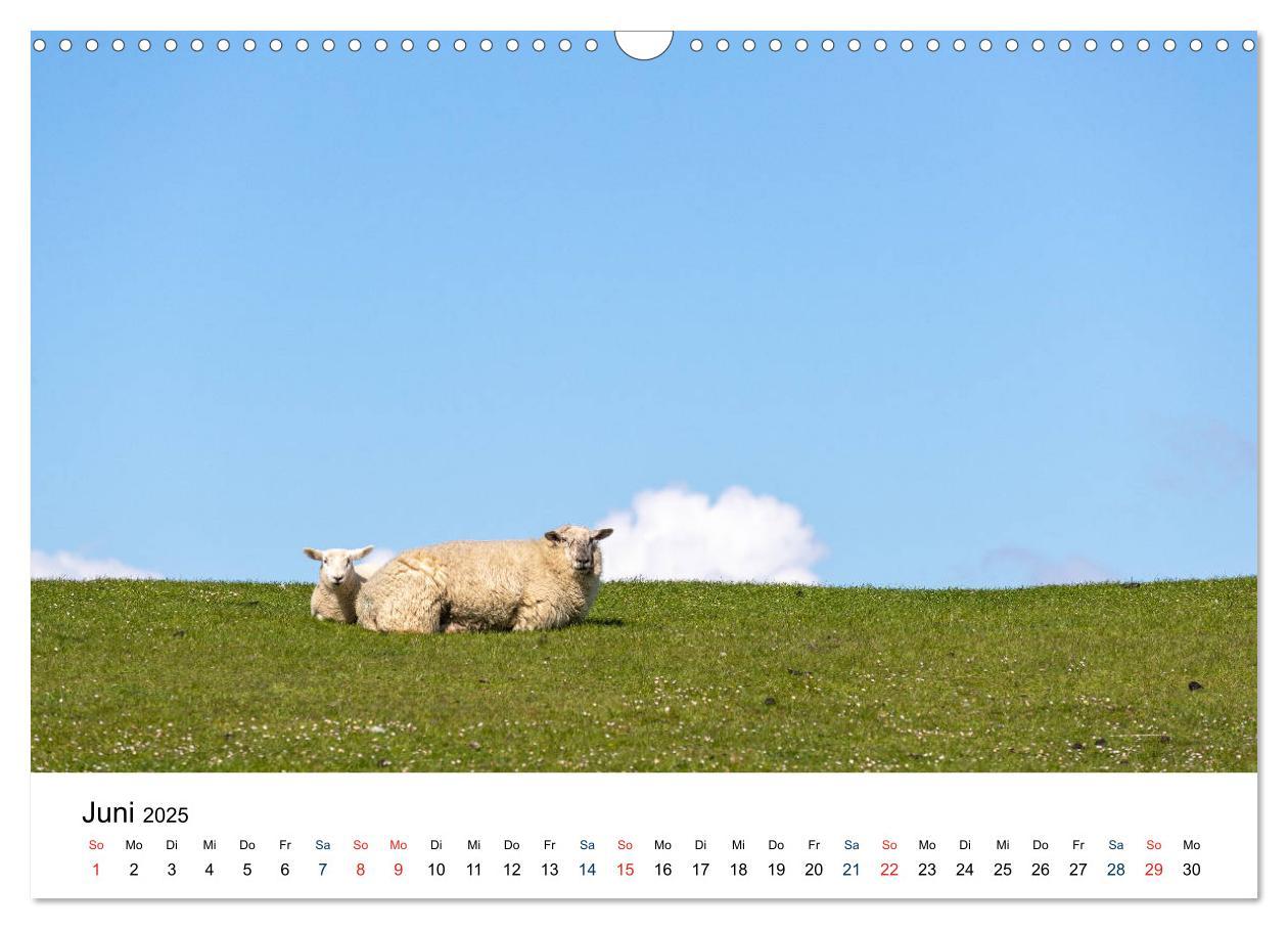 Bild: 9783435150083 | Unterwegs in Nordfriesland (Wandkalender 2025 DIN A3 quer),...