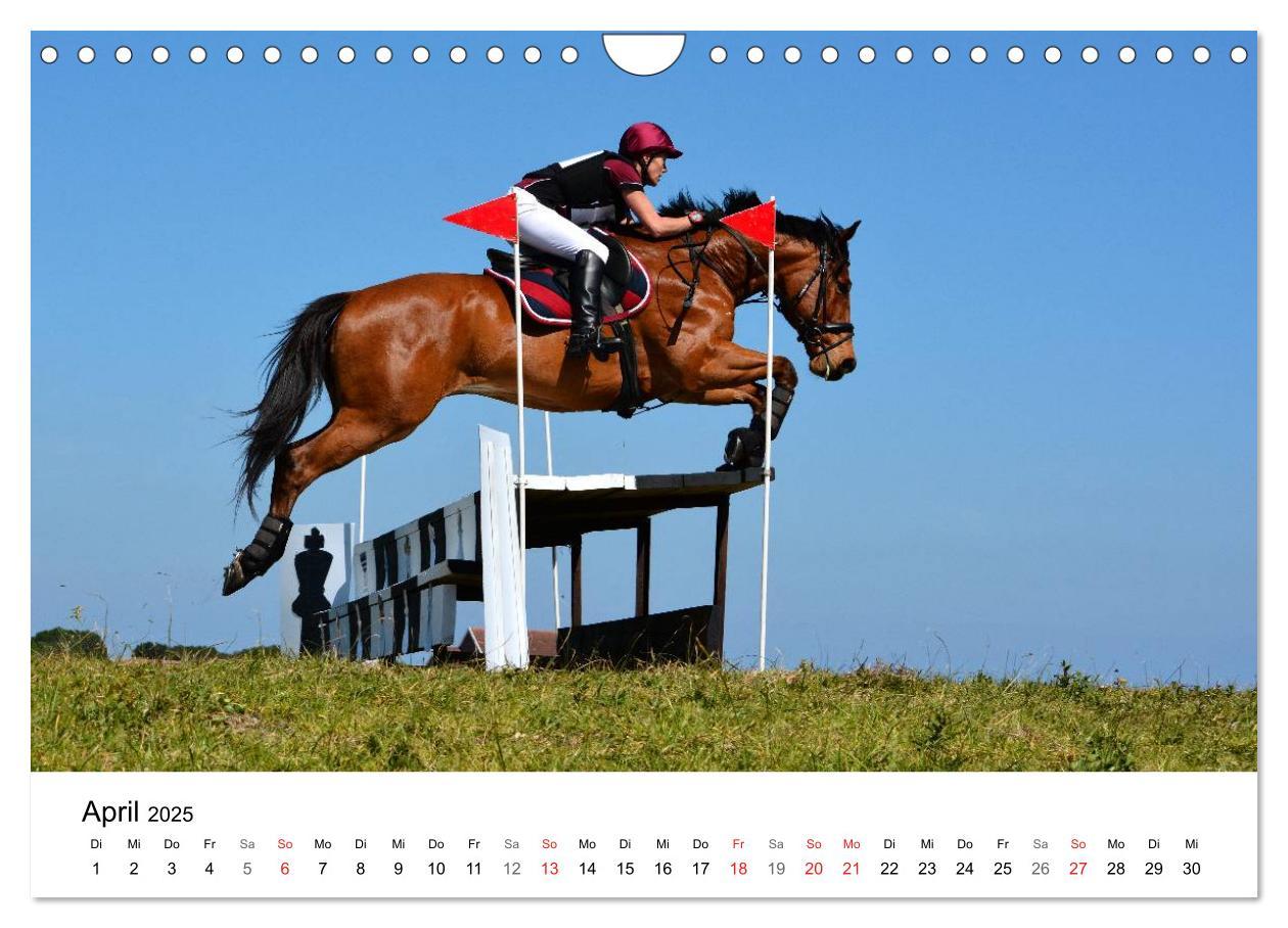 Bild: 9783435618507 | Vielseitigkeitsreiten (Wandkalender 2025 DIN A4 quer), CALVENDO...