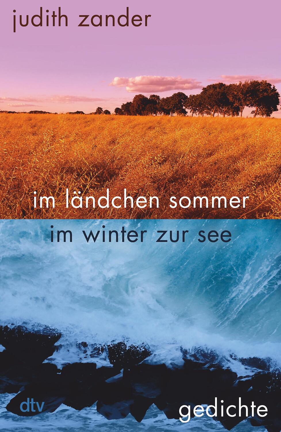 Cover: 9783423290104 | im ländchen sommer im winter zur see | Judith Zander | Buch | Deutsch