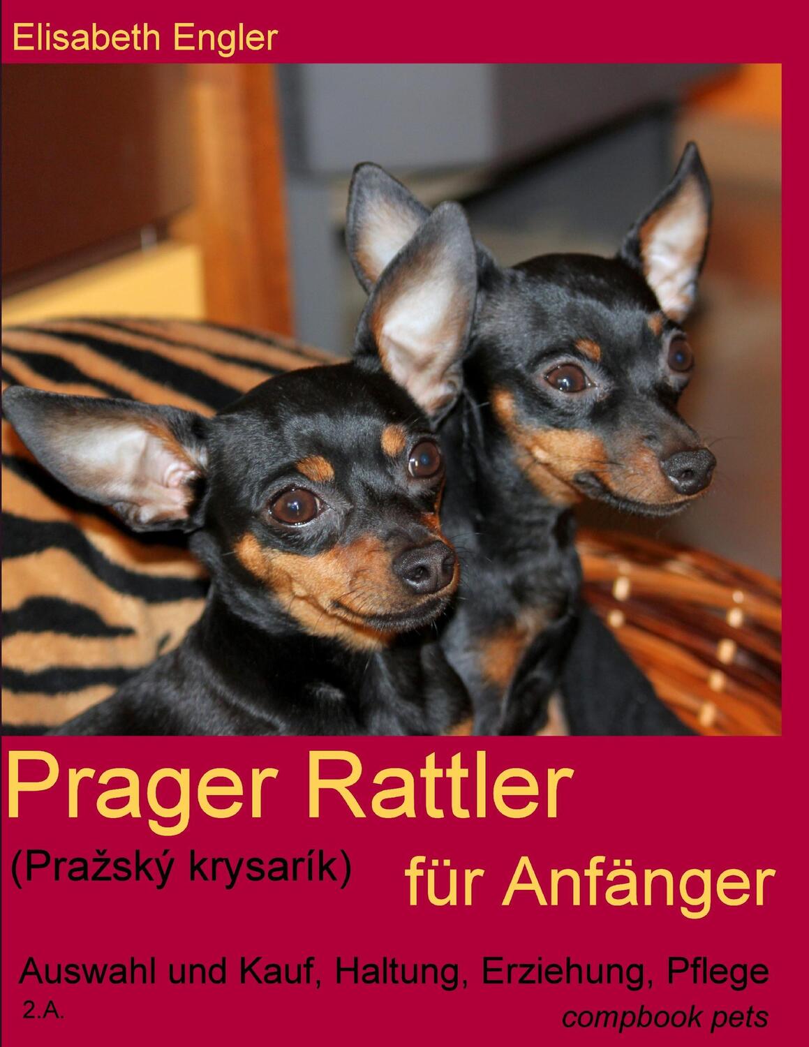 Cover: 9783934473133 | Prager Rattler (Prazský krysarík) für Anfänger | Elisabeth Engler