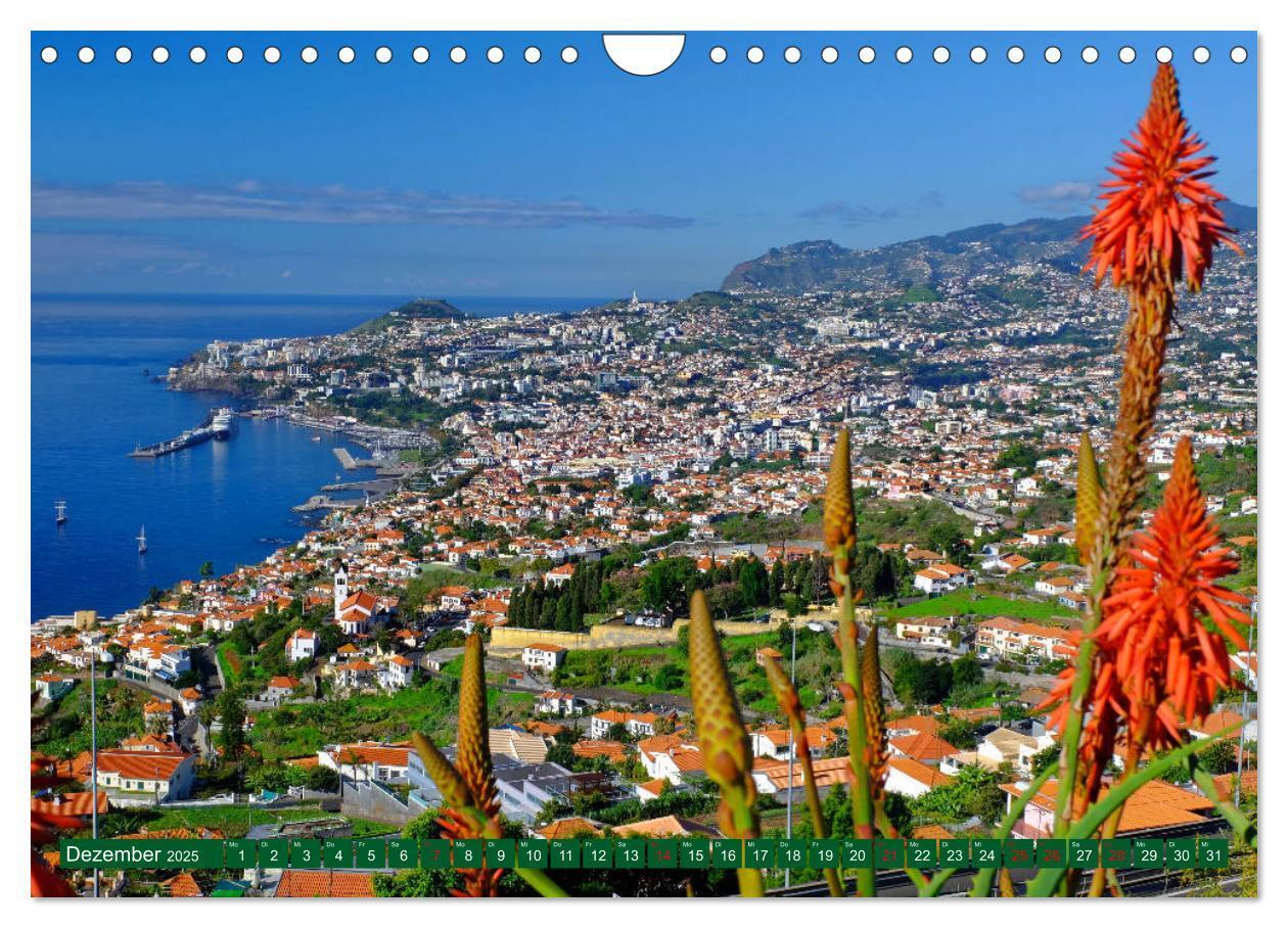 Bild: 9783383794247 | Madeira Blumeninsel im Atlantik (Wandkalender 2025 DIN A4 quer),...