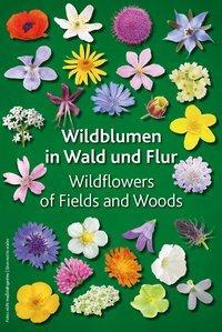 Cover: 9783928382069 | Wildblumen in Wald und Flur | Wildflowers of Fields and Woods | Buch