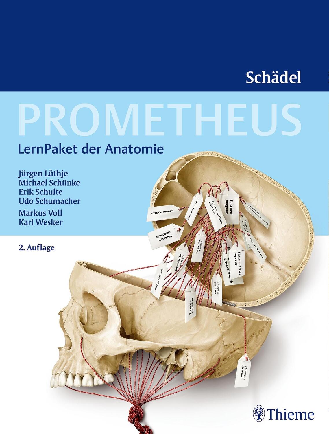 Cover: 9783132403000 | PROMETHEUS LernPaket Anatomie Schädel | Jürgen Lüthje (u. a.) | Stück