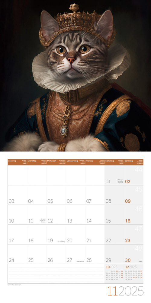 Bild: 9783838445069 | Animal Kingdom Kalender 2025 - 30x30 | Ackermann Kunstverlag | 28 S.