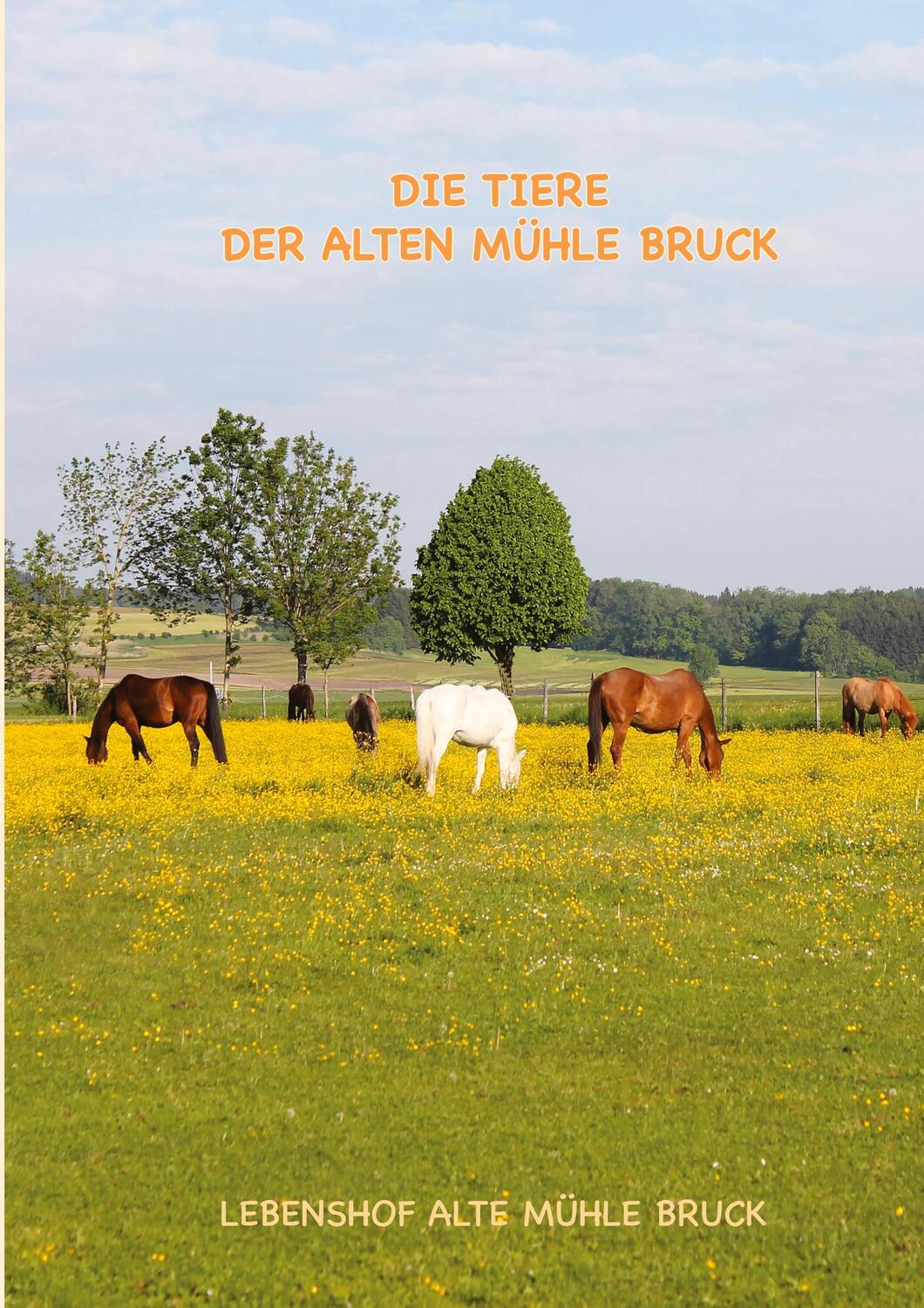 Cover: 9783347775862 | Wie kommt das Pony auf den Gnadenbrothof? | Regina Peter (u. a.)