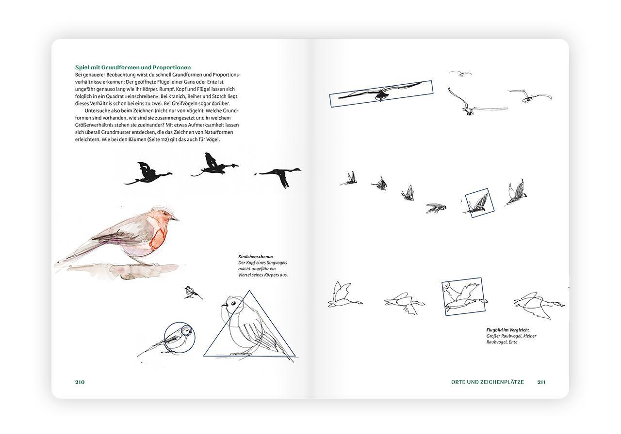 Bild: 9783874399784 | Ins Freie! Draußen zeichnen | Tilo Schneider | Taschenbuch | 256 S.