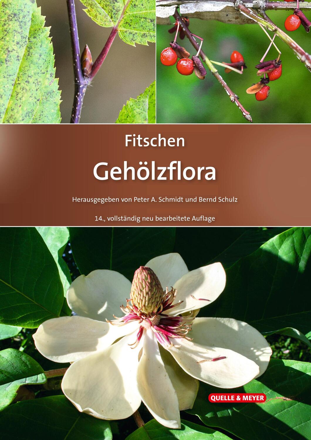Cover: 9783494019345 | Fitschen - Gehölzflora | Peter A. Schmidt (u. a.) | Buch | 872 S.