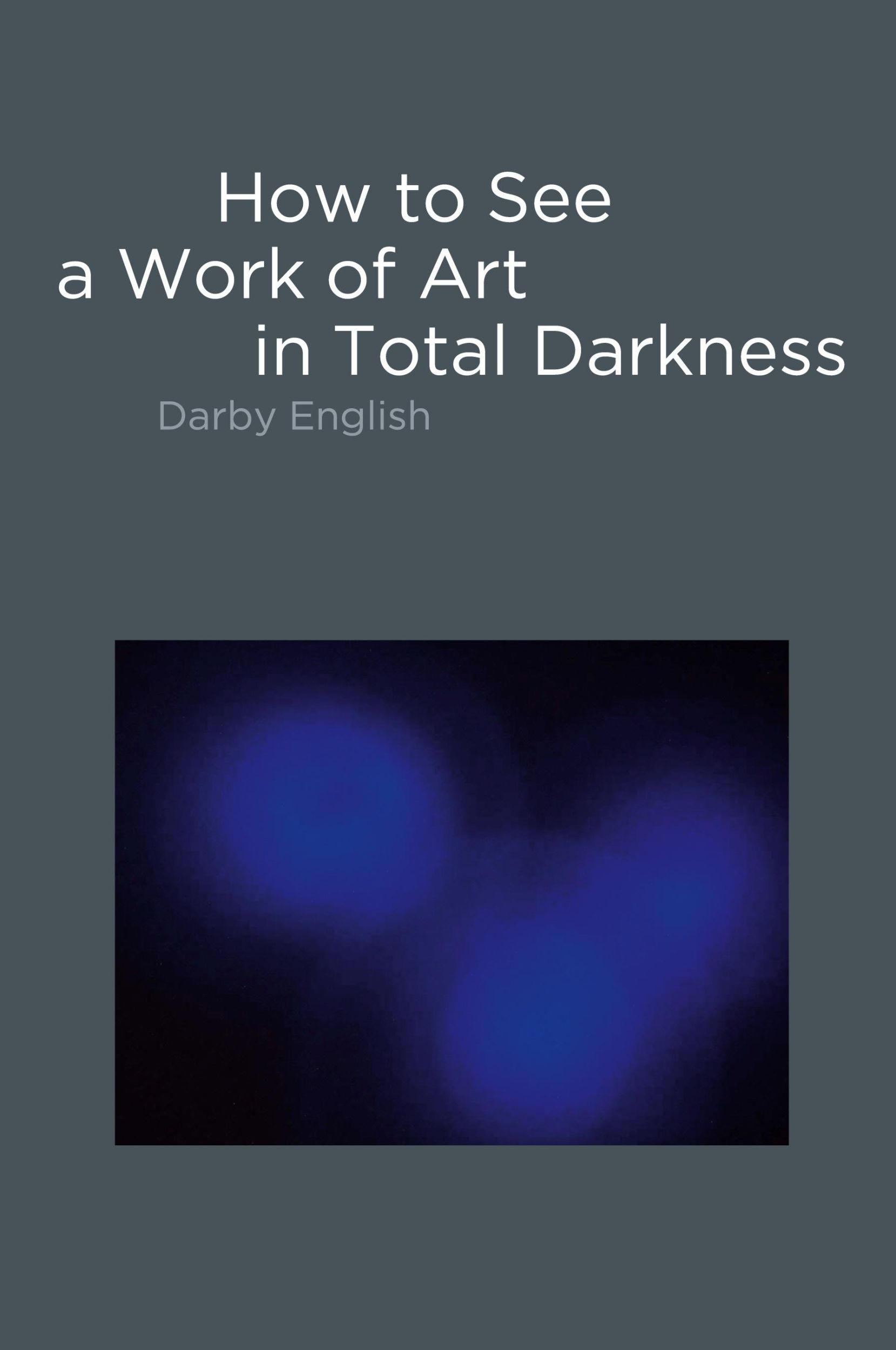 Cover: 9780262514934 | How to See a Work of Art in Total Darkness | Darby English | Buch