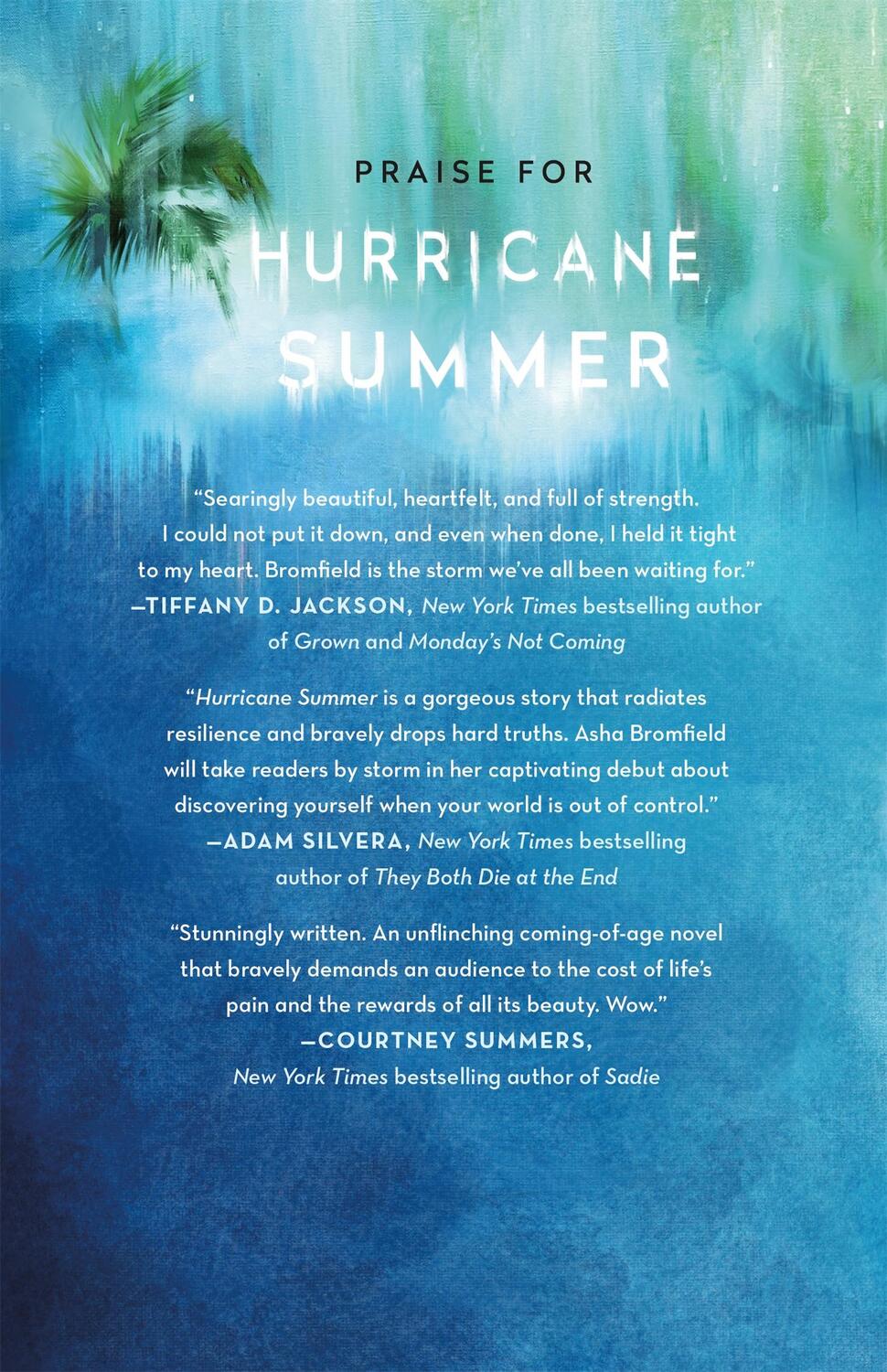 Rückseite: 9781250622235 | Hurricane Summer | Asha Ashanti Bromfield | Buch | Gebunden | Englisch