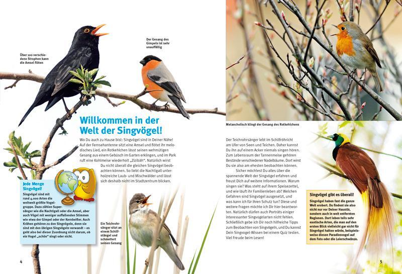 Bild: 9783866592674 | Entdecke die Singvögel | Thomas Schmidt | Buch | 56 S. | Deutsch