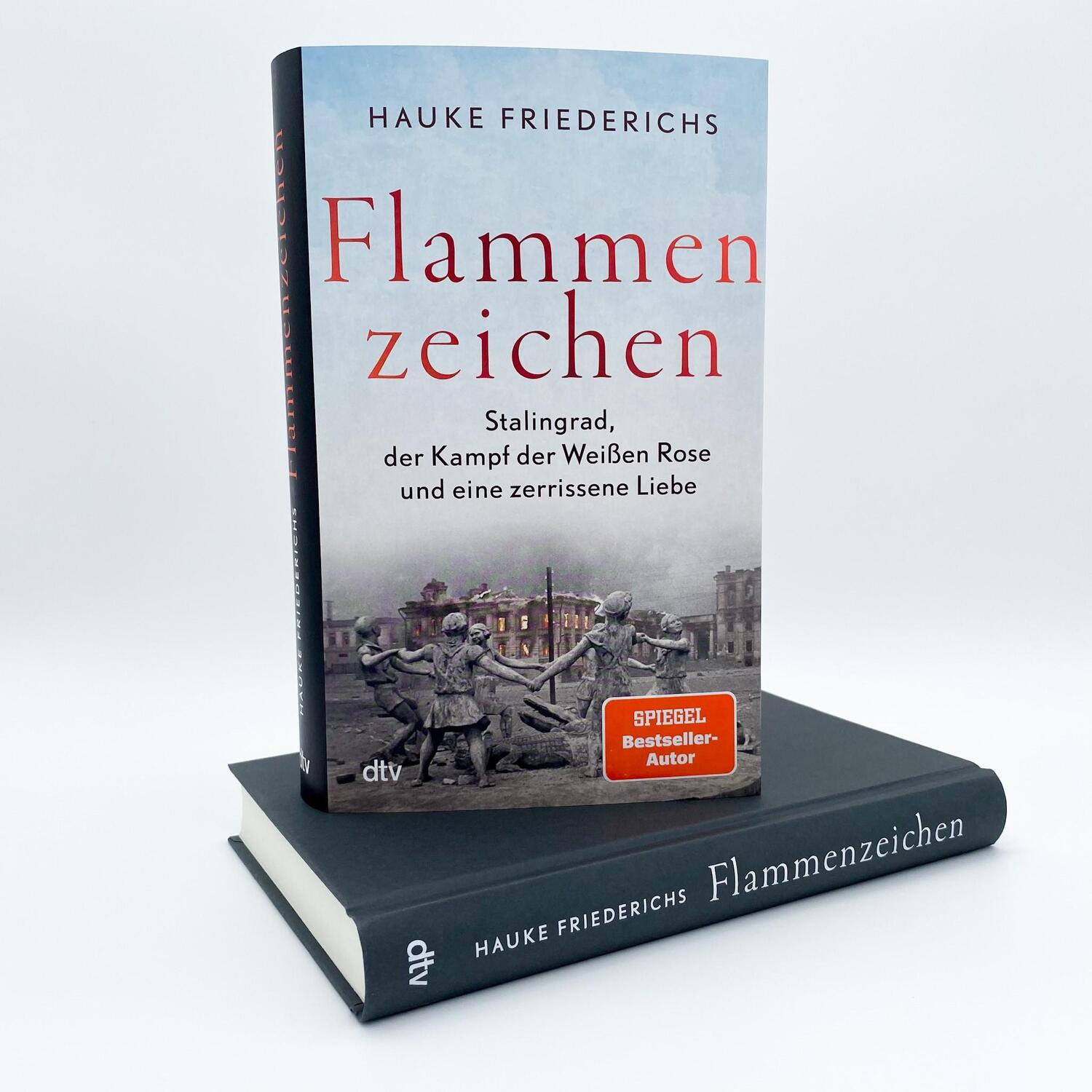 Bild: 9783423290388 | Flammenzeichen | Hauke Friederichs | Buch | 336 S. | Deutsch | 2022