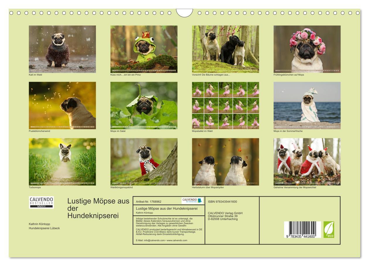 Bild: 9783435441600 | Lustige Möpse aus der Hundeknipserei (Wandkalender 2025 DIN A3...