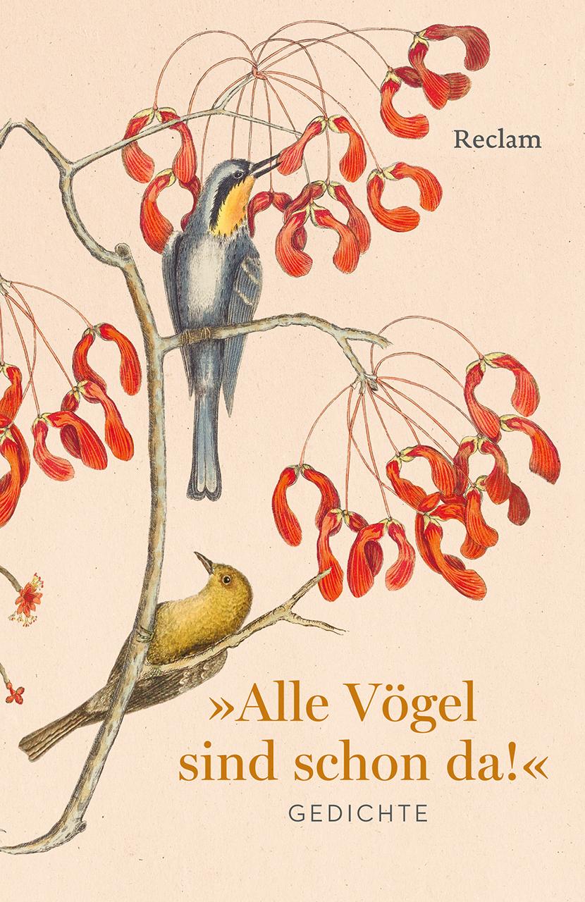 Cover: 9783150146538 | Alle Vögel sind schon da! Gedichte | Evelyne Polt-Heinzl (u. a.)