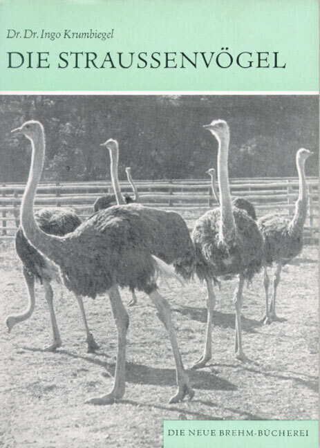 Cover: 9783894327637 | Die Straußenvögel | Ingo Krumbiegel | Taschenbuch | Ziemsen