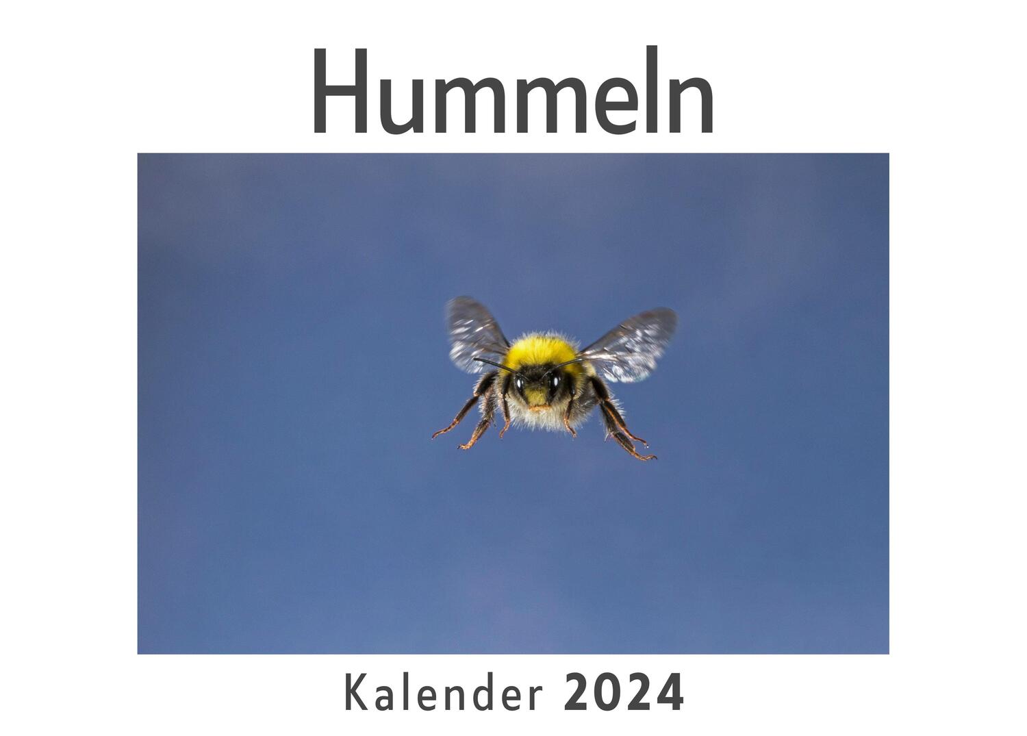 Cover: 9783750545809 | Hummeln (Wandkalender 2024, Kalender DIN A4 quer, Monatskalender im...