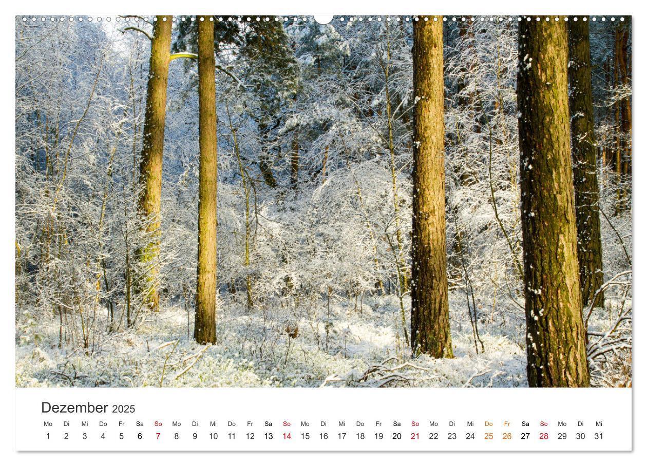 Bild: 9783435057474 | Faszination Natur - Bilder aus Mecklenburg-Vorpommern (Wandkalender...