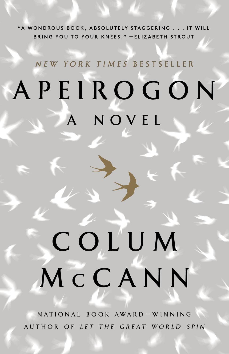 Cover: 9780812981933 | Apeirogon | A Novel | Colum McCann | Taschenbuch | 496 S. | Englisch