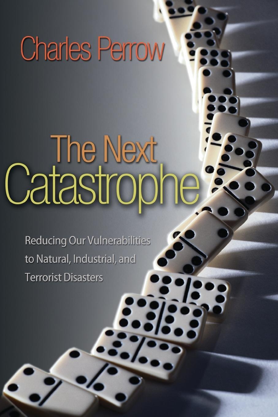Cover: 9780691150161 | The Next Catastrophe | Charles Perrow | Taschenbuch | Paperback | 2011