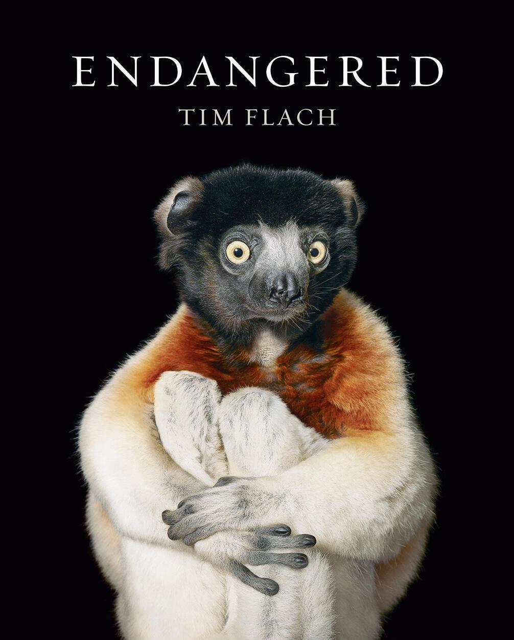 Cover: 9781419726514 | Endangered | Tim Flach (u. a.) | Buch | Englisch | 2017